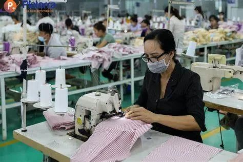 Lời khuyên hữu ích cho người mới bắt đầu