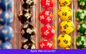 Bạch Thủ Lô Là Gì