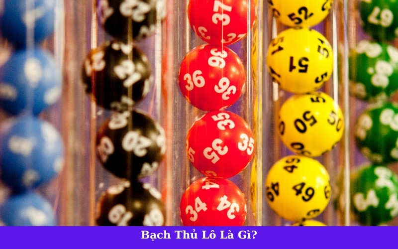 Bạch Thủ Lô Là Gì