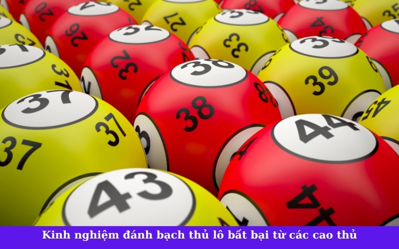 Kinh nghiệm đánh bạch thủ lô bất bại từ các cao thủ